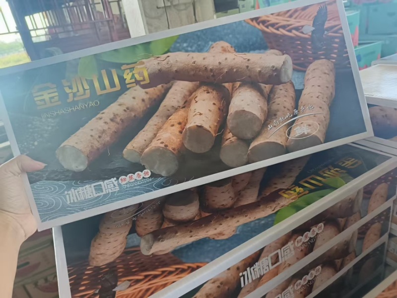 金沙山药产地直销口味软糯大量有货欢迎购买