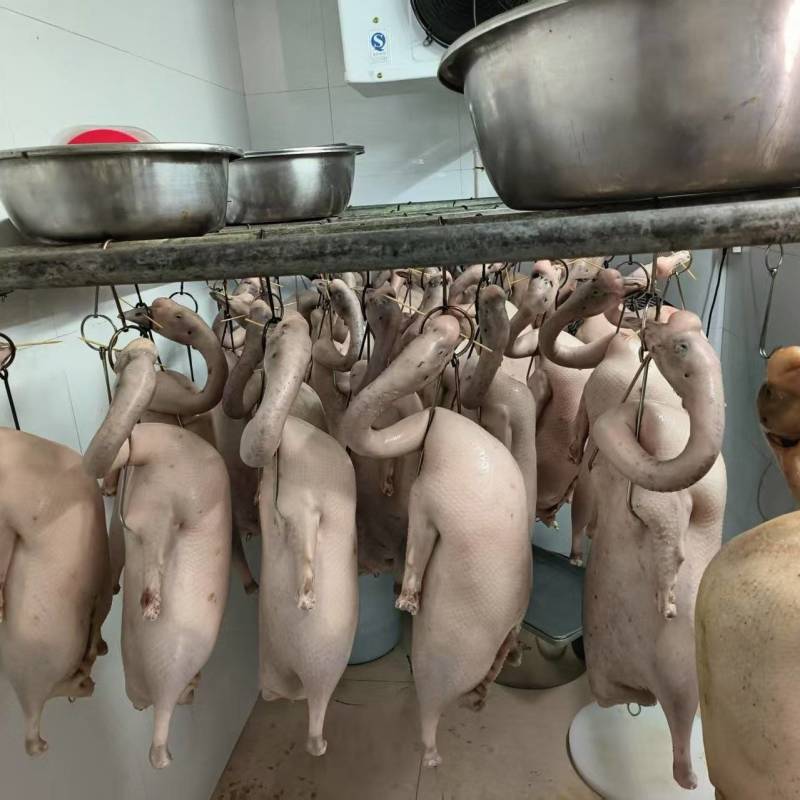 优质鹅肉（烧鹅用）