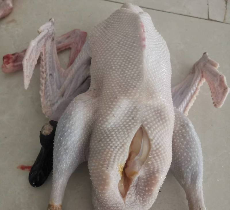 优质鹅肉（烧鹅用）