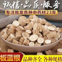 板蓝根中小根板蓝根板兰根板蓝根产地原料板蓝根批发