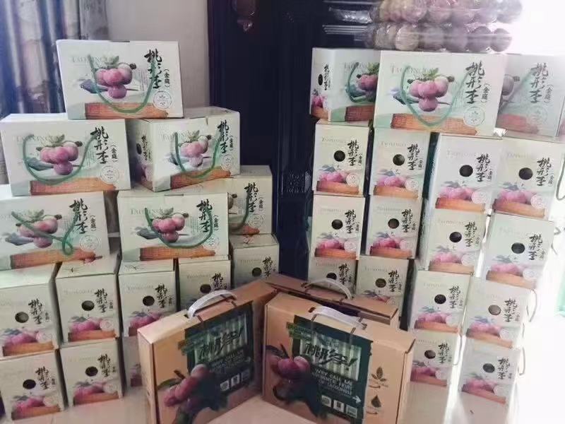 嵊州特产桃型李产地一手货源