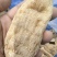 天麻大片新货上市颜色漂亮百万销量广州店售后无忧