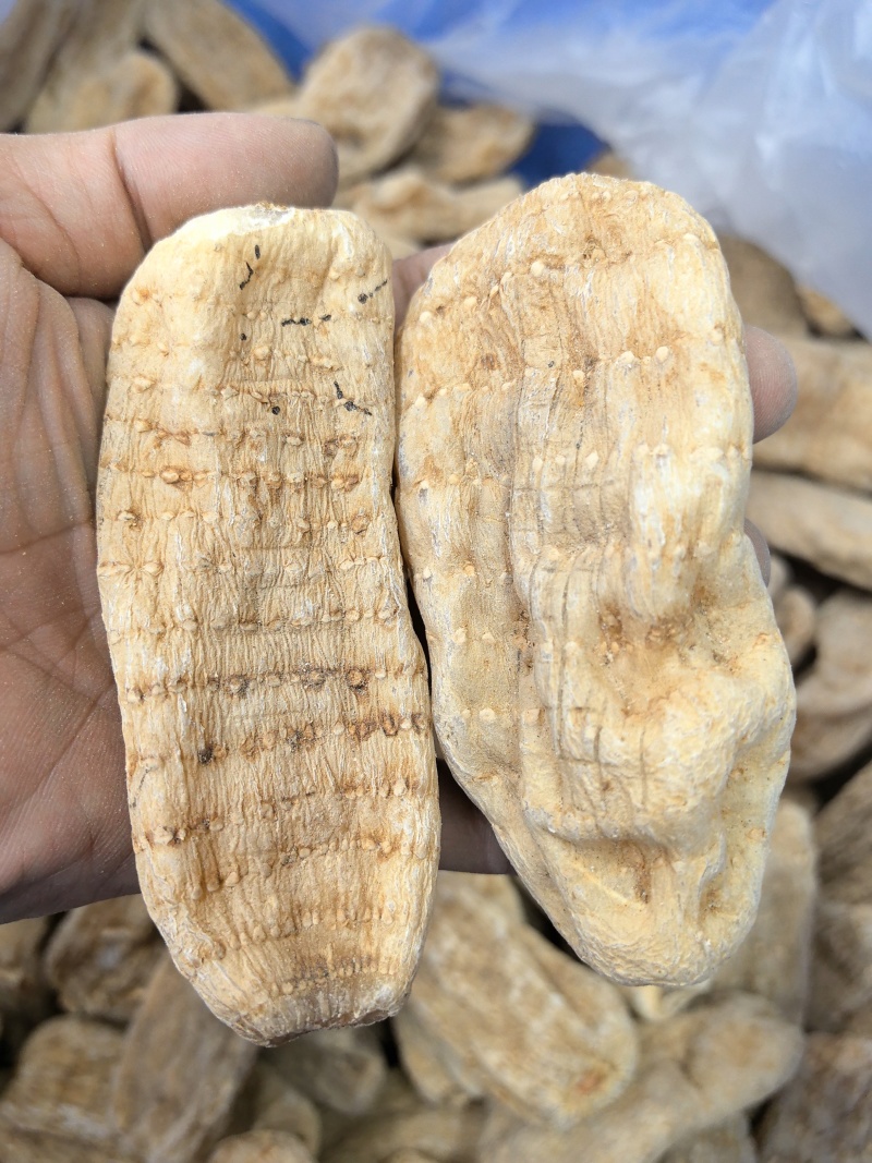 天麻大片新货上市颜色漂亮百万销量广州店售后无忧