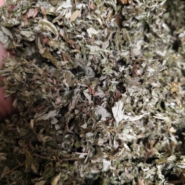艾叶中药材大叶艾叶切段批发零售量大优惠