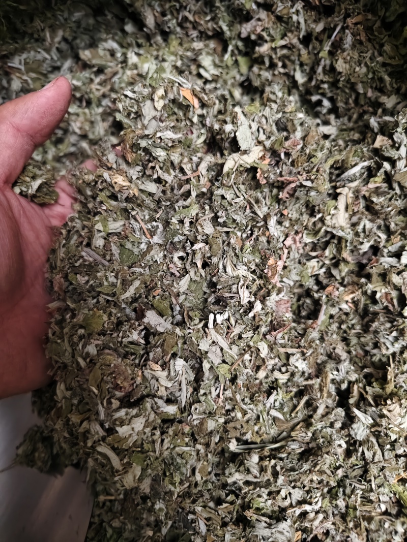 艾叶中药材大叶艾叶切段批发零售量大优惠