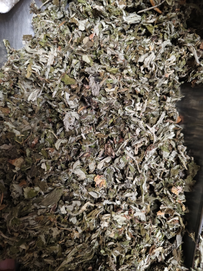 艾叶中药材大叶艾叶切段批发零售量大优惠