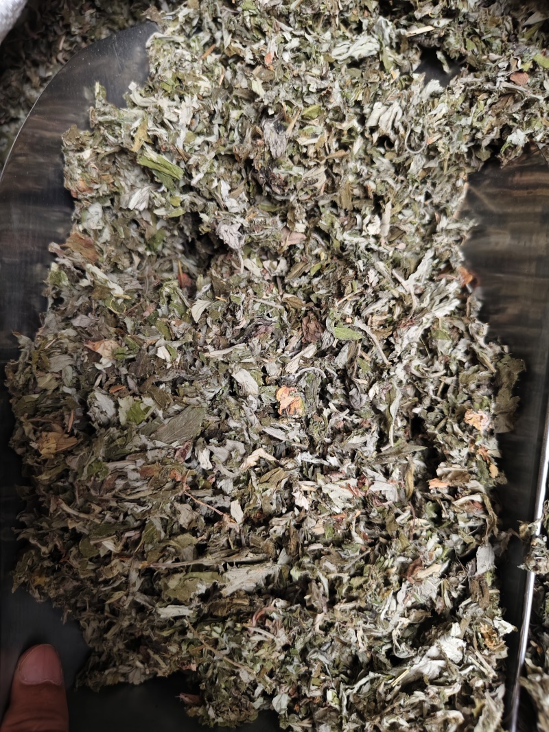 艾叶中药材大叶艾叶切段批发零售量大优惠
