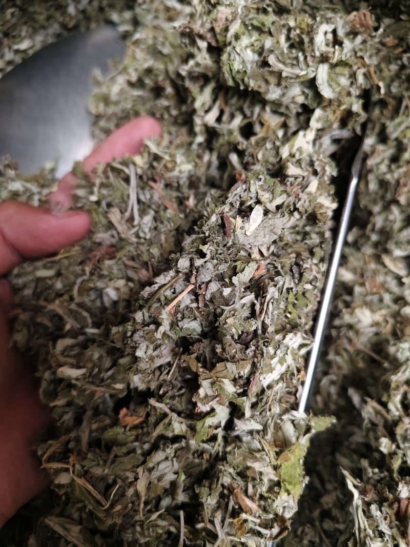 艾叶中药材大叶艾叶切段批发零售量大优惠
