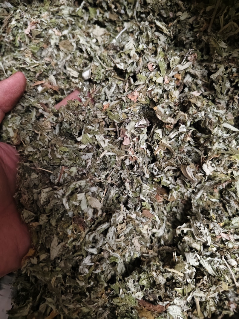 艾叶中药材大叶艾叶切段批发零售量大优惠