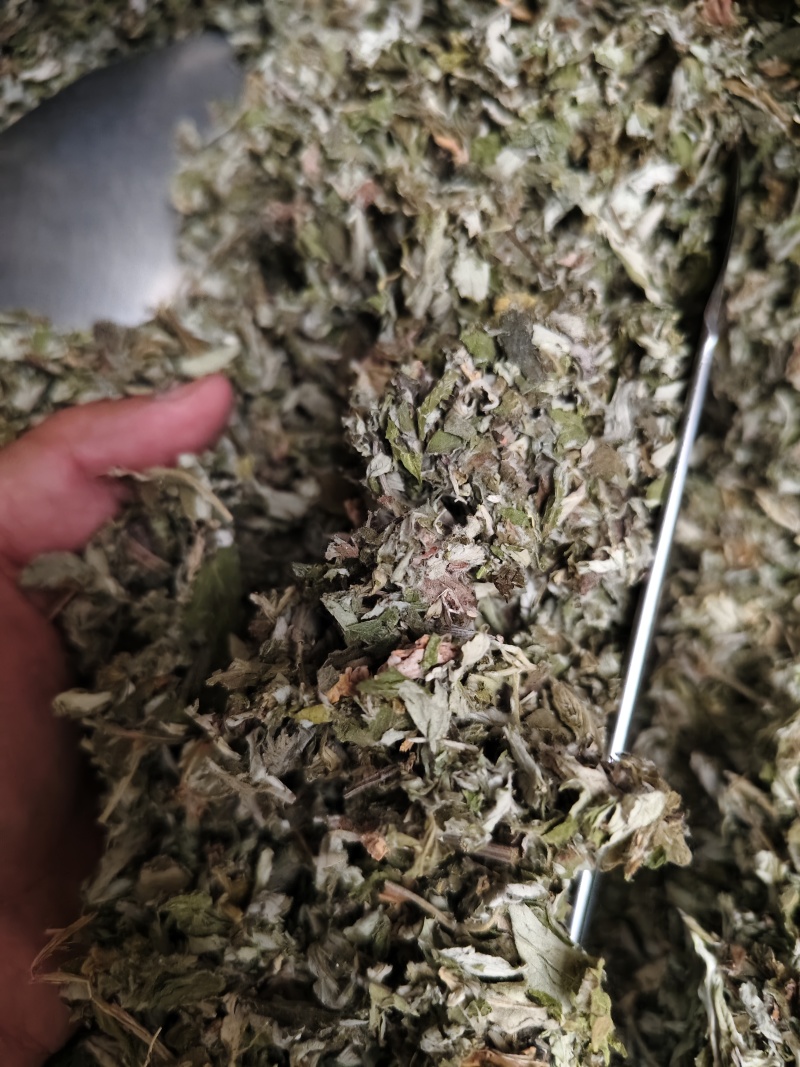 艾叶中药材大叶艾叶切段批发零售量大优惠