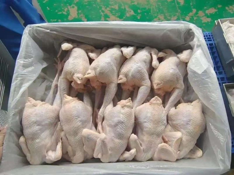 老母鸡规格齐全