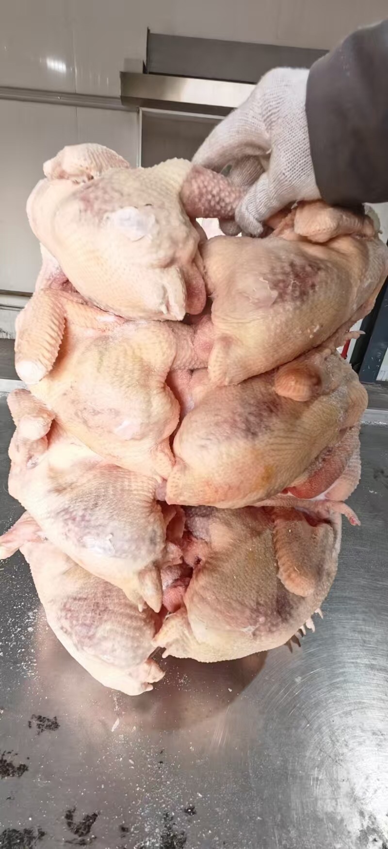 老母鸡规格齐全