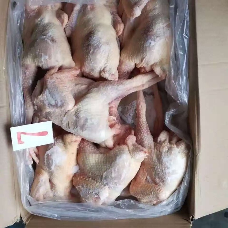 老母鸡规格齐全