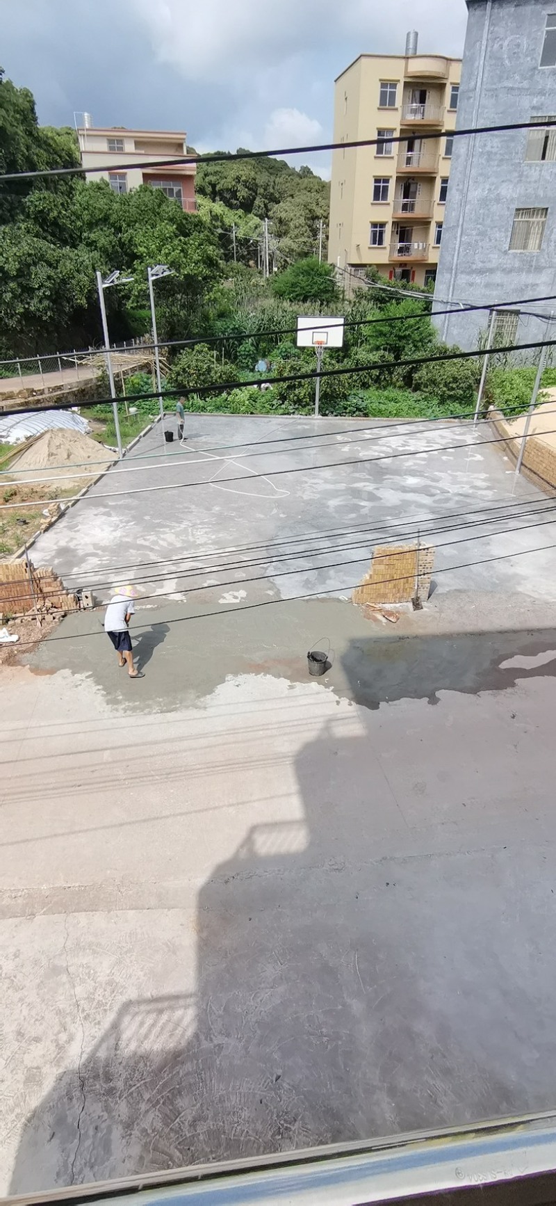 广西桂平麻垌荔枝寻采购商&场地出租