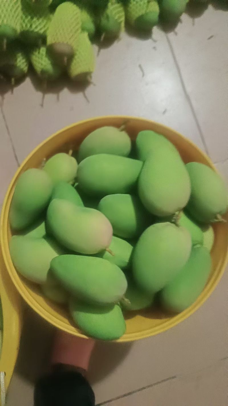 百色芒果