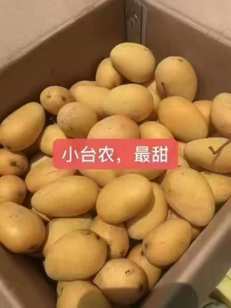 百色芒果