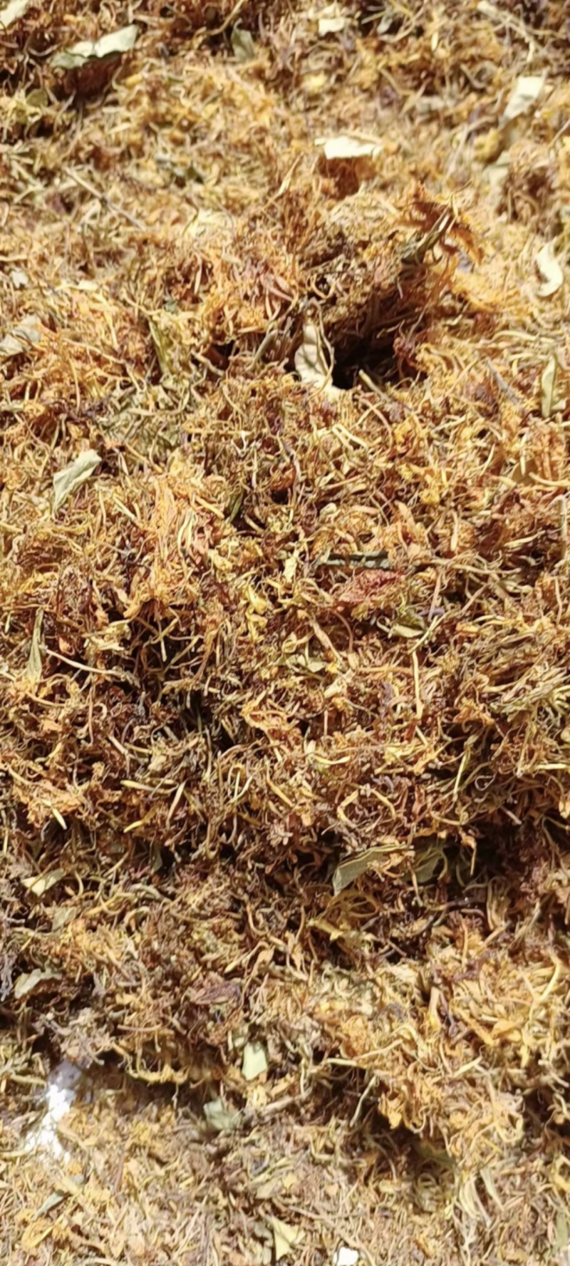 养生金银花茶
