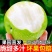 正宗砀山青皮皇冠梨薄皮梨子当季新鲜水果脆甜翠玉梨一件代发