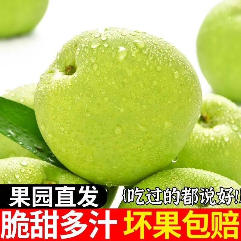 正宗砀山青皮皇冠梨薄皮梨子当季新鲜水果脆甜翠玉梨一件代发
