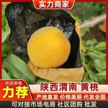 黄桃，精品黄金蜜黄桃，锦绣，西尾黄桃，货源充足，质优量大