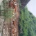 放山牛