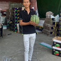 精品麒麟河南西瓜头茬西瓜产地直销对接档口市场商超