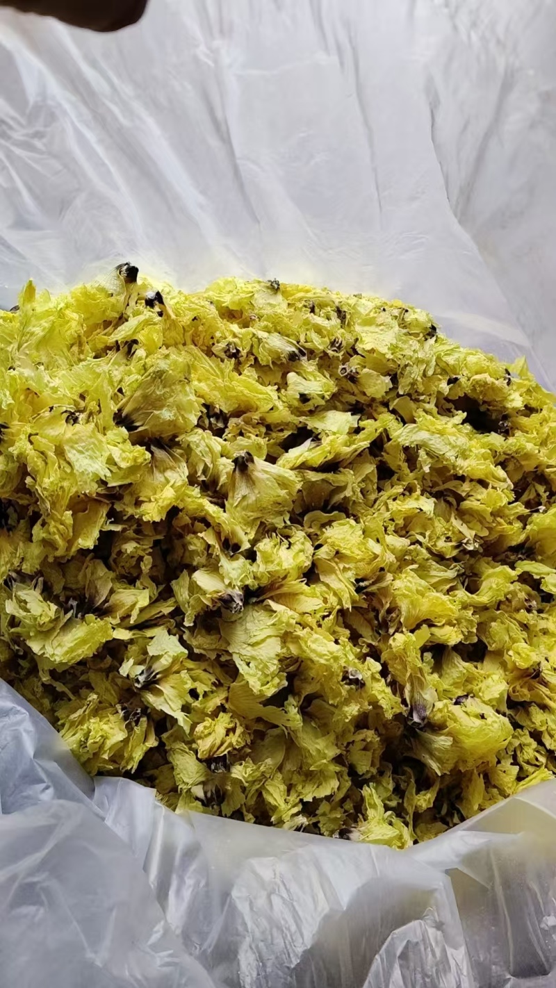 黄蜀葵花选货精选花蕾常年经营冷背中药材量大优惠