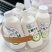 【小店推荐】特浓澳洲生椰380ml整箱正品网红生椰牛乳饮料