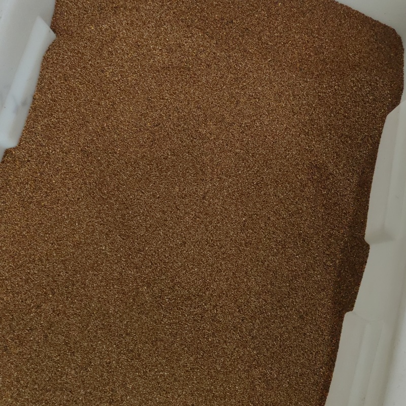 菟丝子炒菟丝子