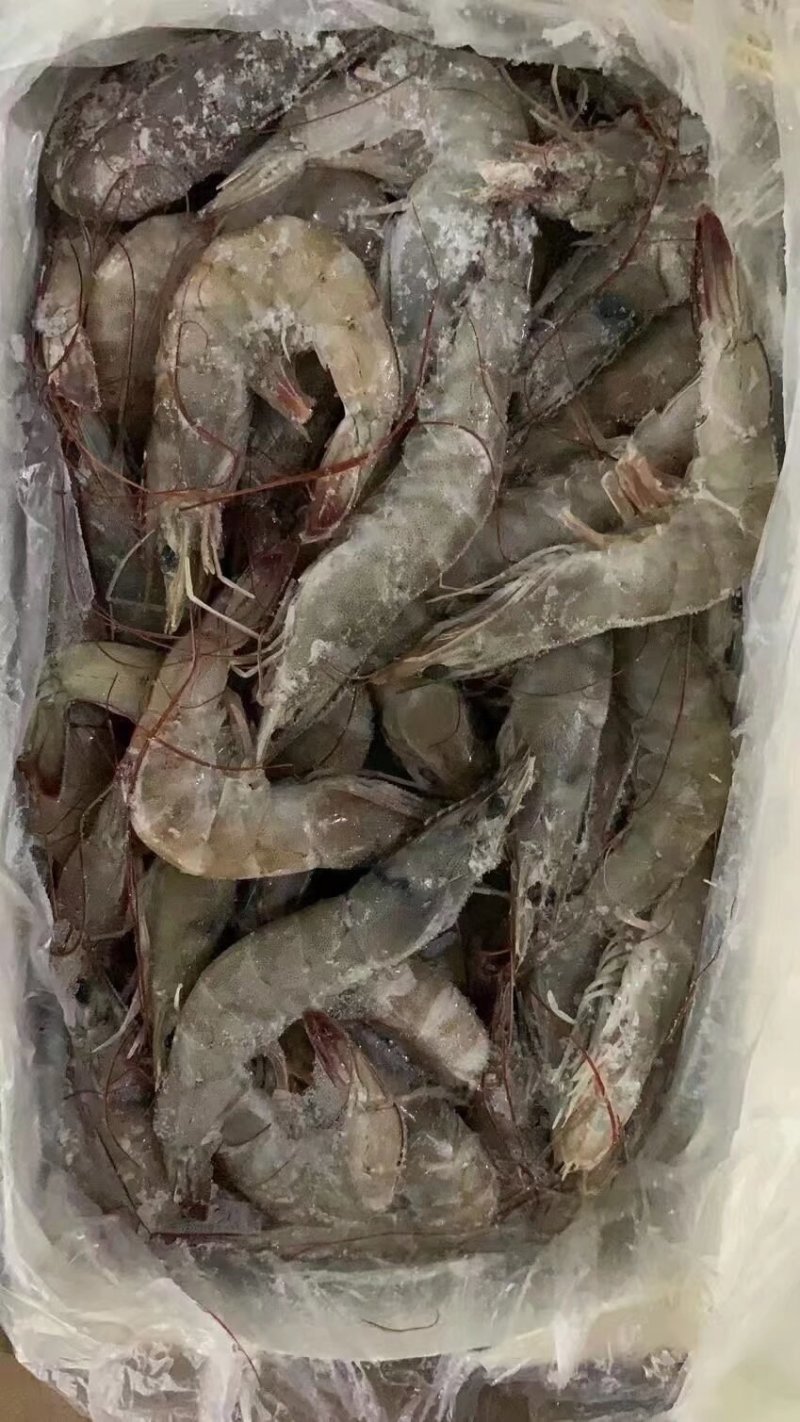 国产精品大青虾，当年新货，规格型号齐全，工厂直发