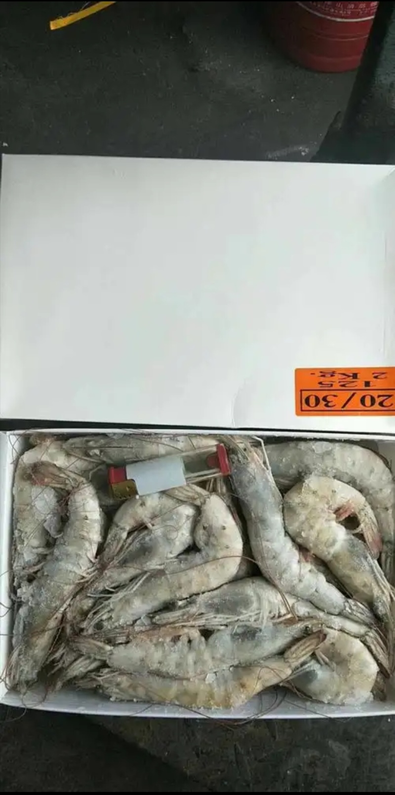 国产精品大青虾，当年新货，规格型号齐全，工厂直发