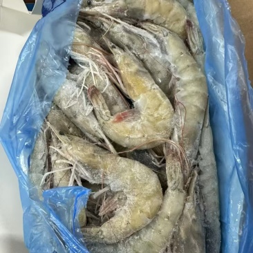 国产精品大青虾，当年新货，规格型号齐全，工厂直发