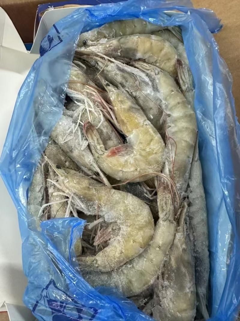 国产精品大青虾，当年新货，规格型号齐全，工厂直发