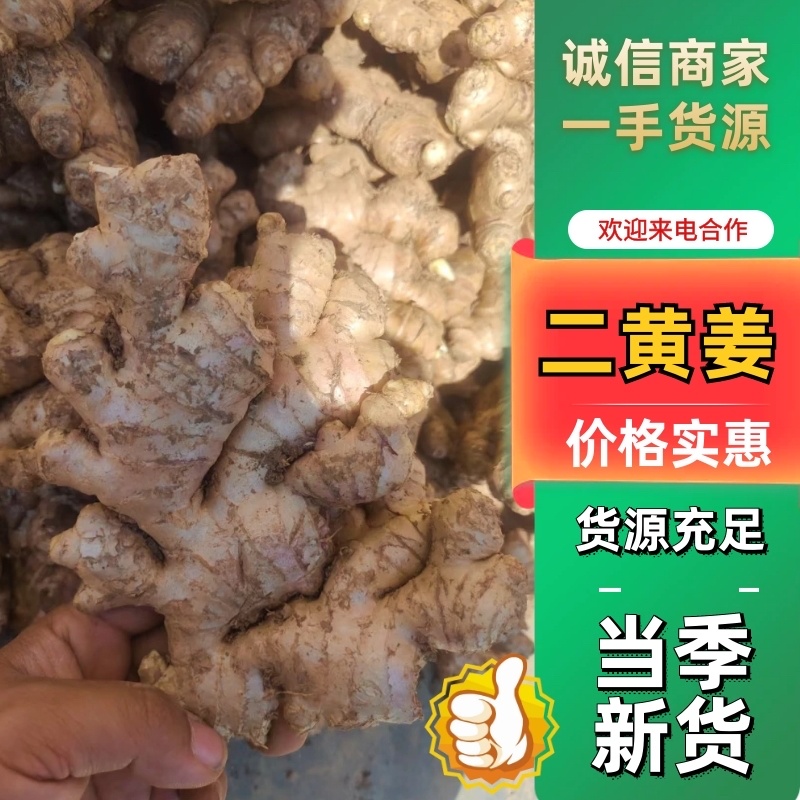 贵州二黄姜，湖南二号，小黄姜，以及葱蒜类黄姜