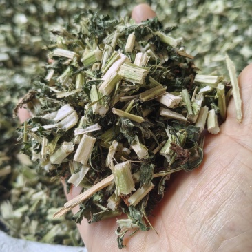 益母草