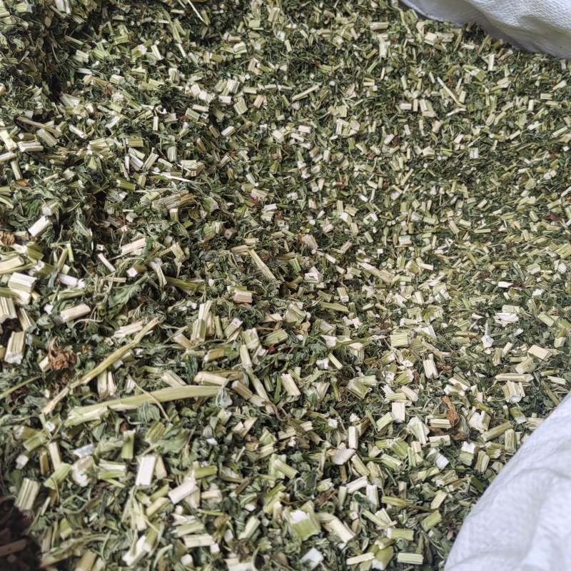 益母草