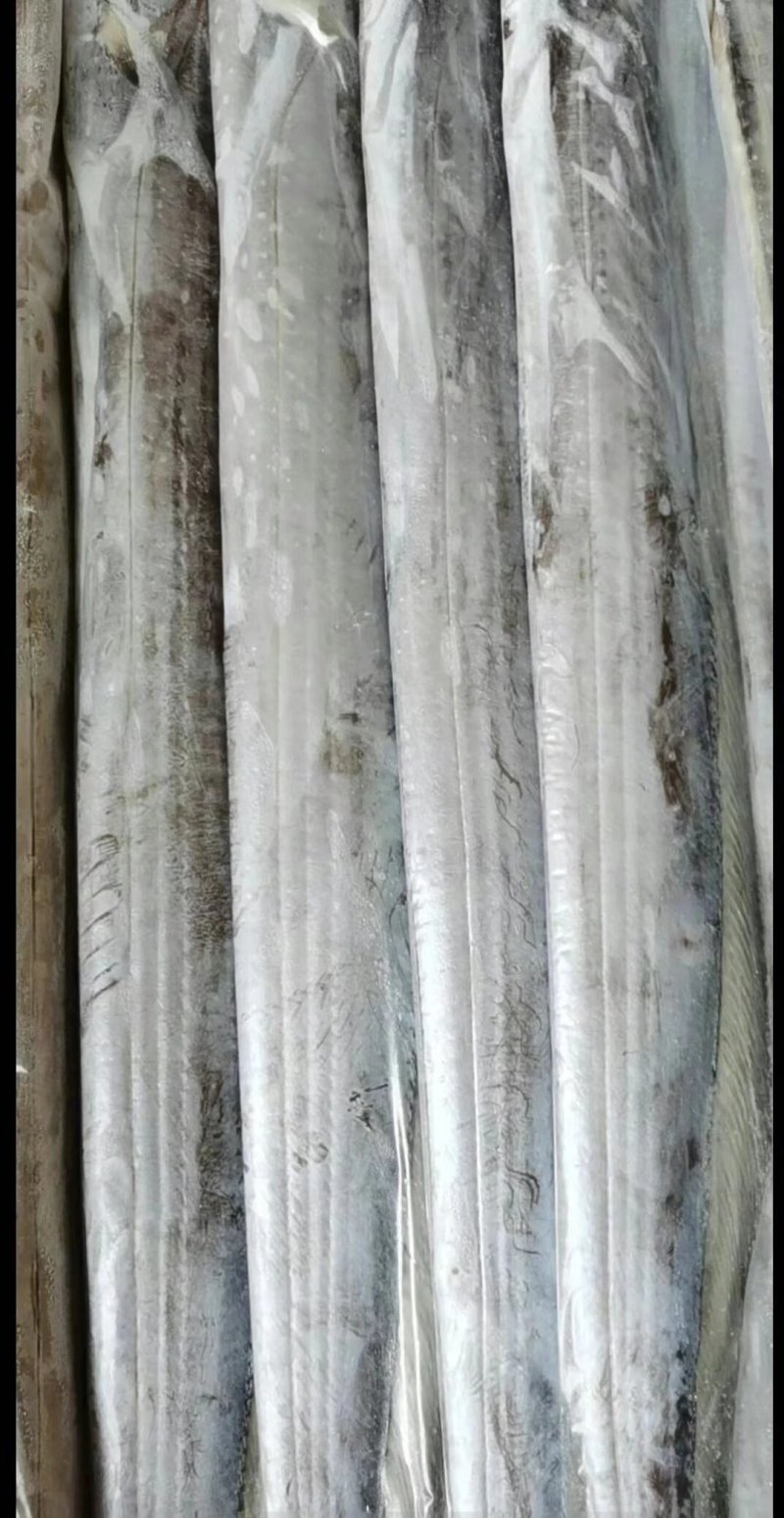 精品带鱼，规格型号齐全，工厂直发质量保证