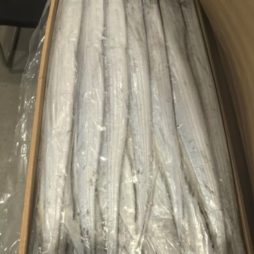 精品带鱼，规格型号齐全，工厂直发质量保证