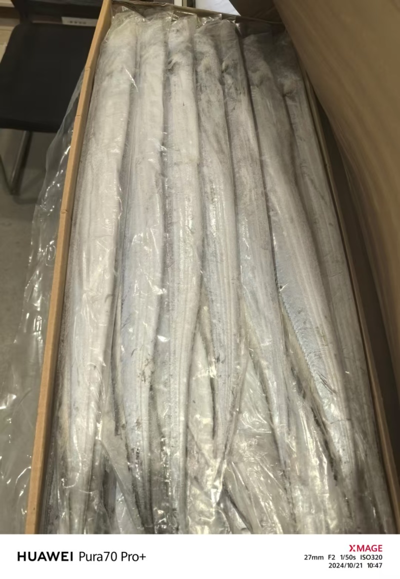 精品带鱼，规格型号齐全，工厂直发质量保证