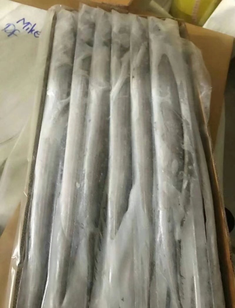 精品带鱼，规格型号齐全，工厂直发质量保证