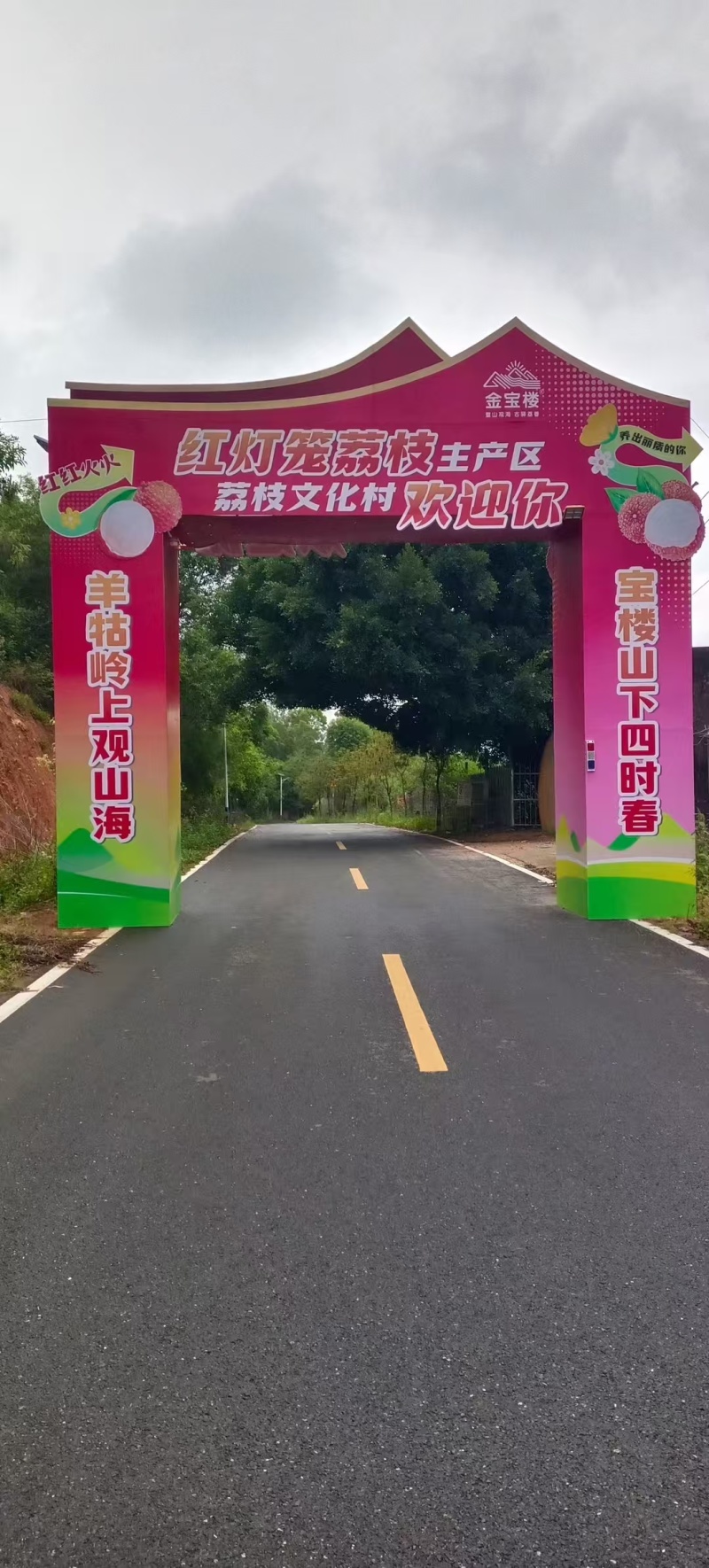 广东汕尾城区凤山红灯笼荔枝