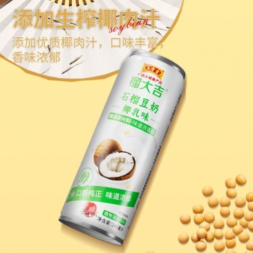 【240mL*12罐】王老吉椰乳味豆奶植物蛋白新品饮料夏天