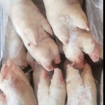 精品猪蹄，工厂直发，规格型号齐全，当年新货