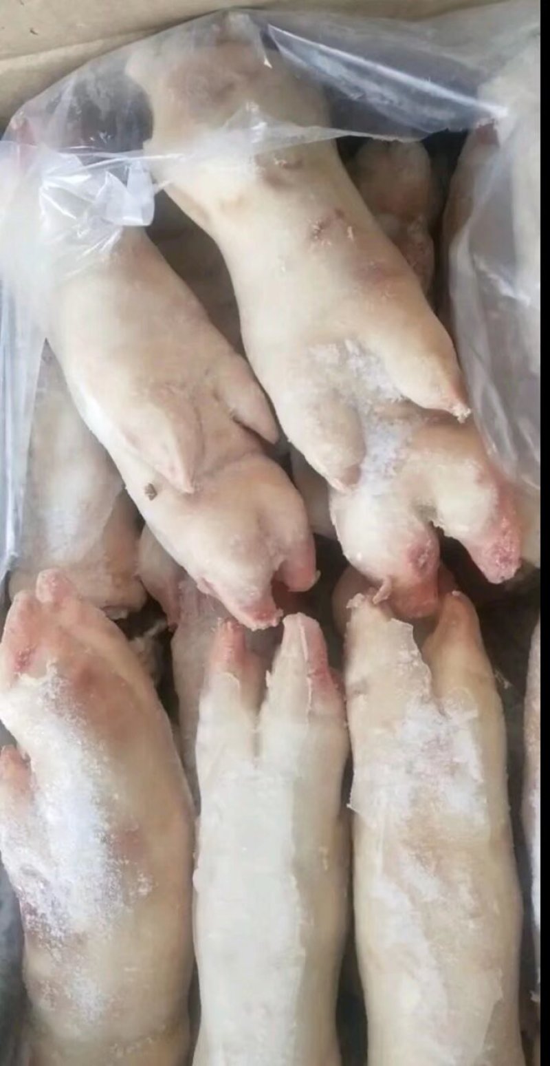 精品猪蹄，工厂直发，规格型号齐全，当年新货
