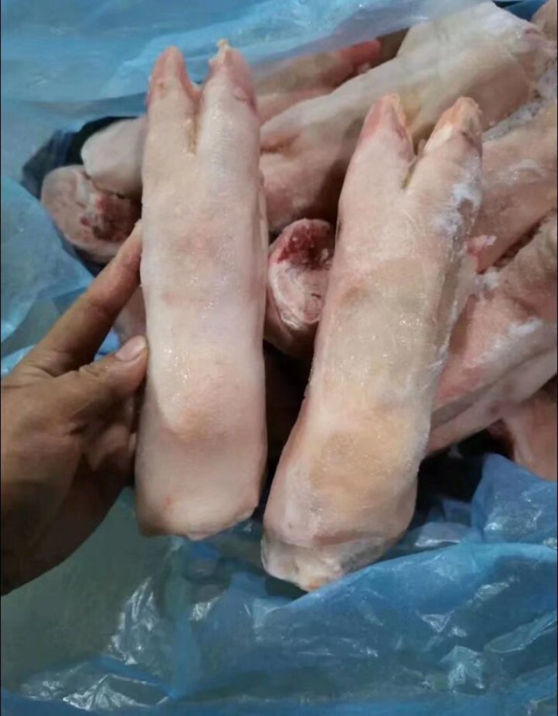 精品猪蹄，工厂直发，规格型号齐全，当年新货