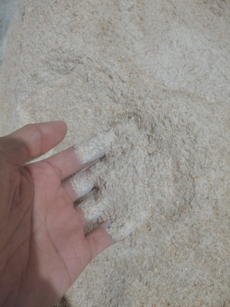 哈萨克斯坦饲用小麦粉