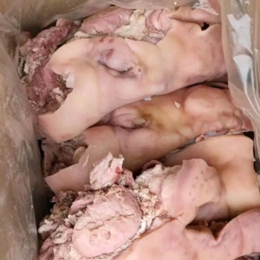 精品七八分熟猪头肉，餐饮熟食专用，工厂直发