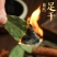 【鸿芸堂】正宗广西香叶无硫熏香叶调料桂皮八角组合饭店家中常备