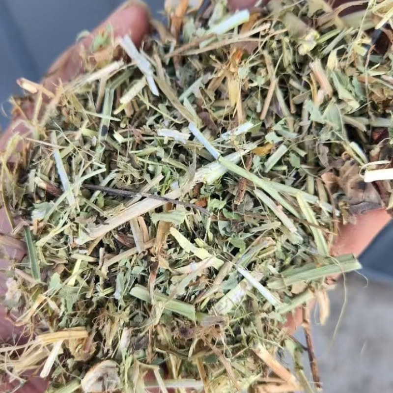 河南花生秧大量出货量大从优
