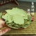 【只卖头茬香叶】广西香叶新货批发月桂叶调味料香料卤料干货净重